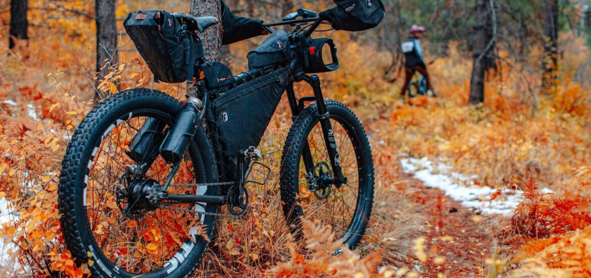 Loaded bike among orange autumn ferns and larch trees