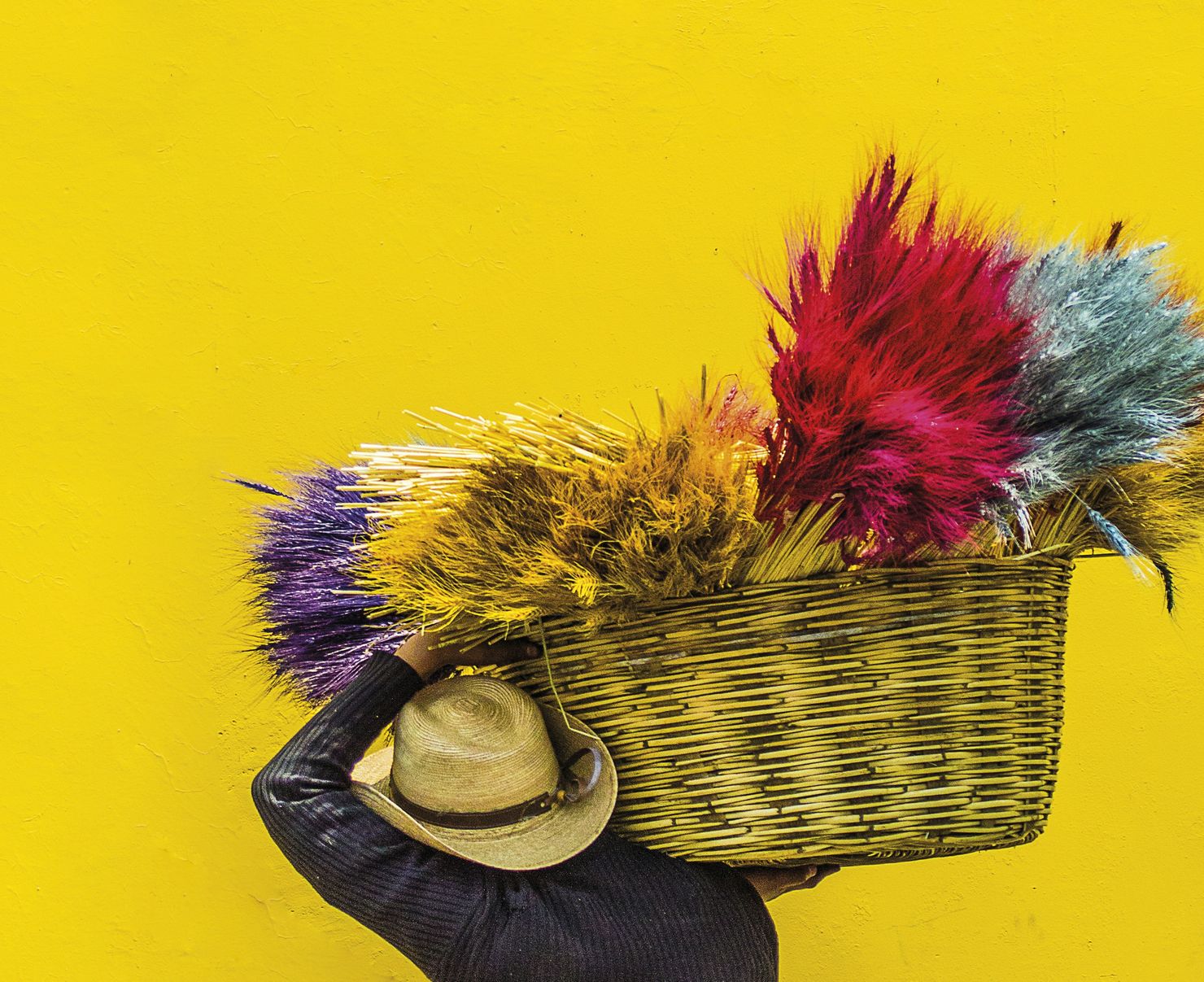 Carrying colour: a portrait on a yellow wall