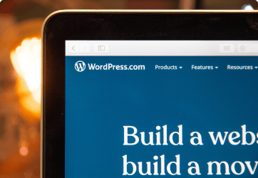 WordPress theme development from scratch