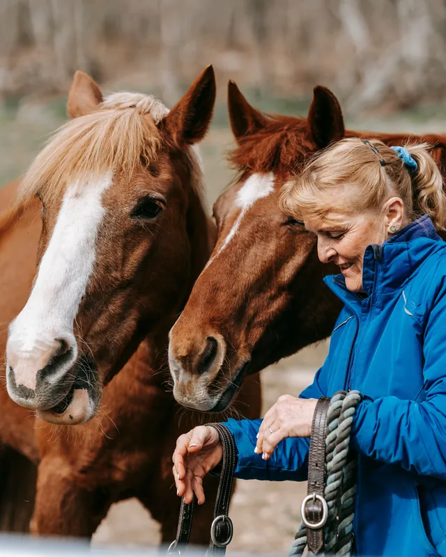 A woman in a blue jacket coiling a lead rope beside two chestnut horses with white blazes