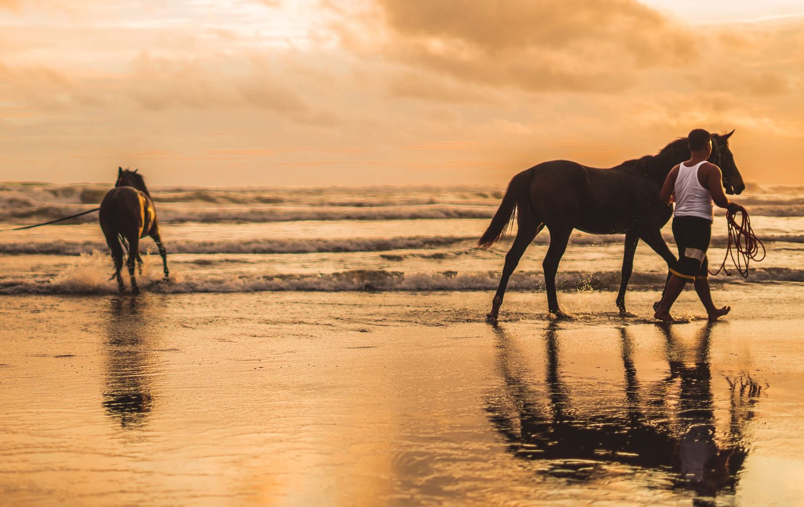 The summer beach ride is back