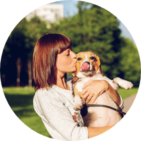 Pet Surgeries