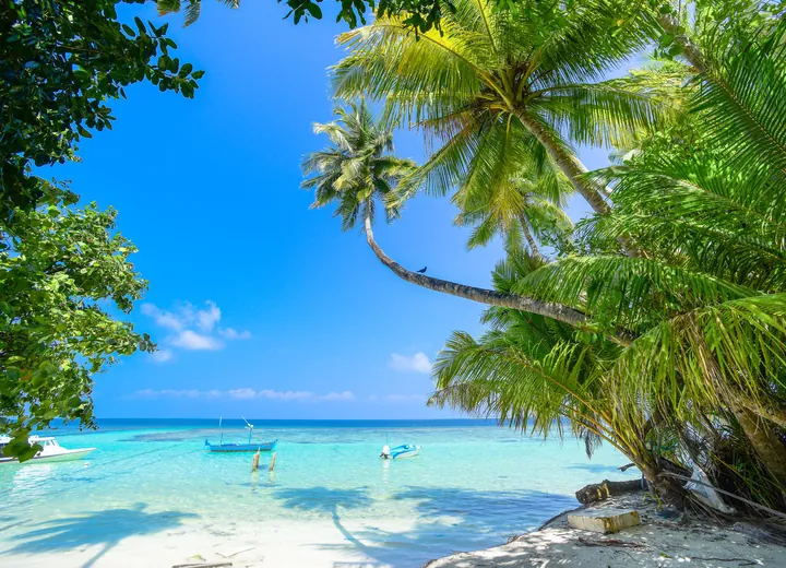 Palms leaning over a white beach and a turquoise lagoon in the Maldives, small boats moored offshore