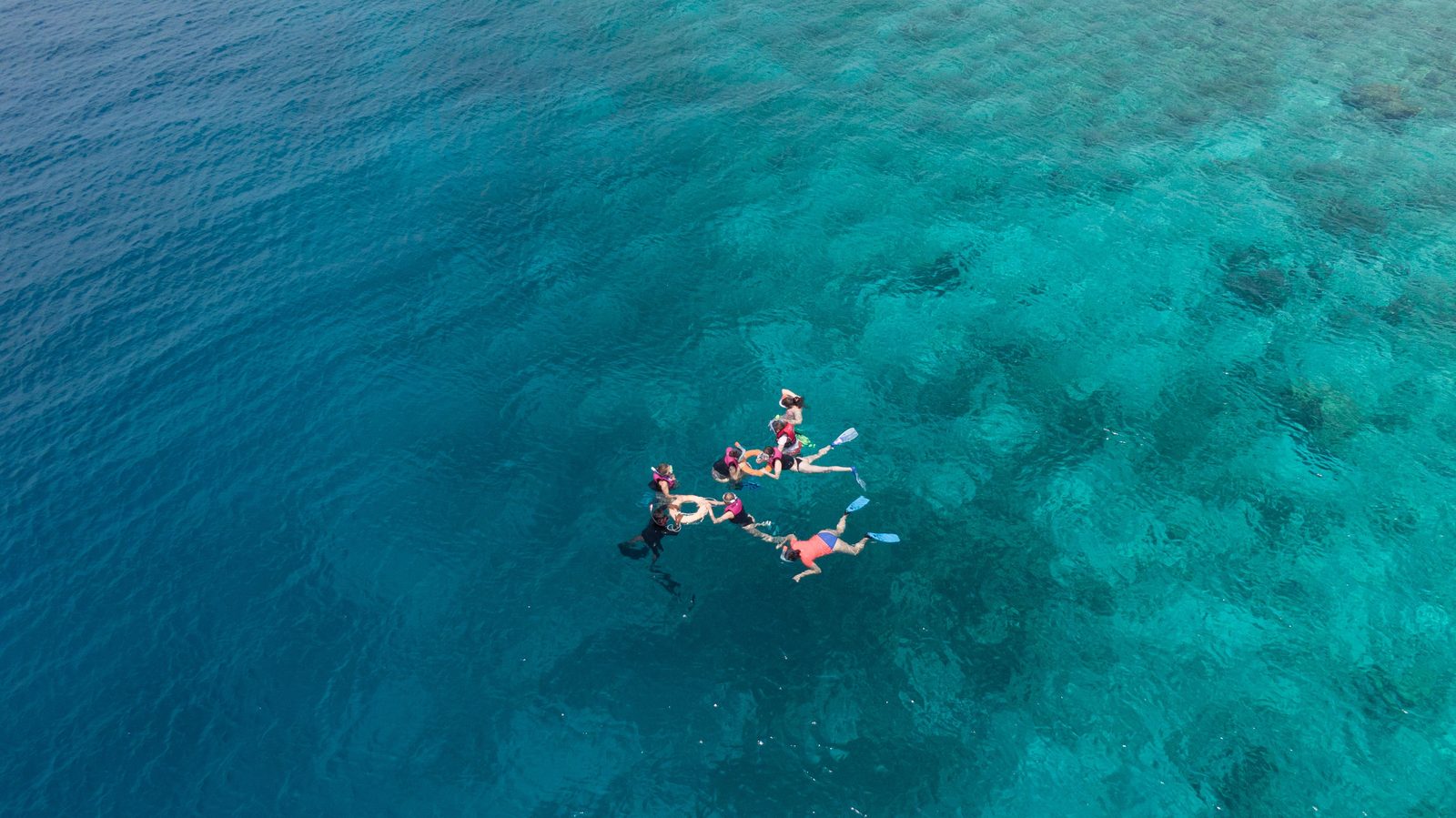 Snorkelling from the beach in the Maldives