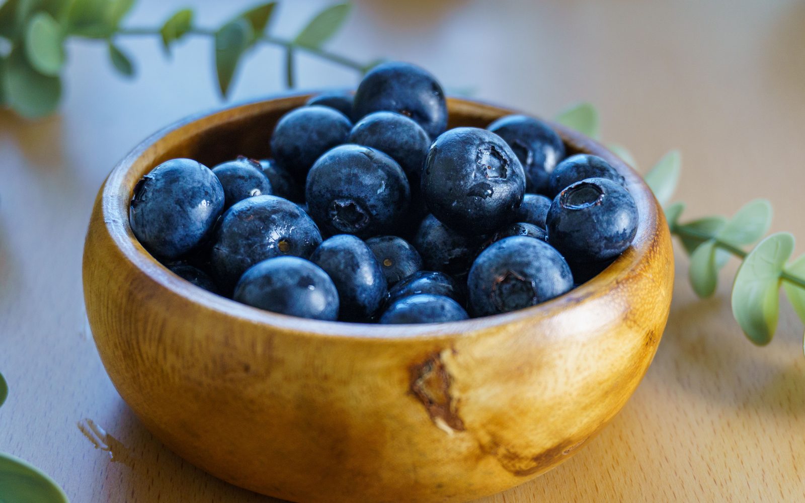It is huckleberry season