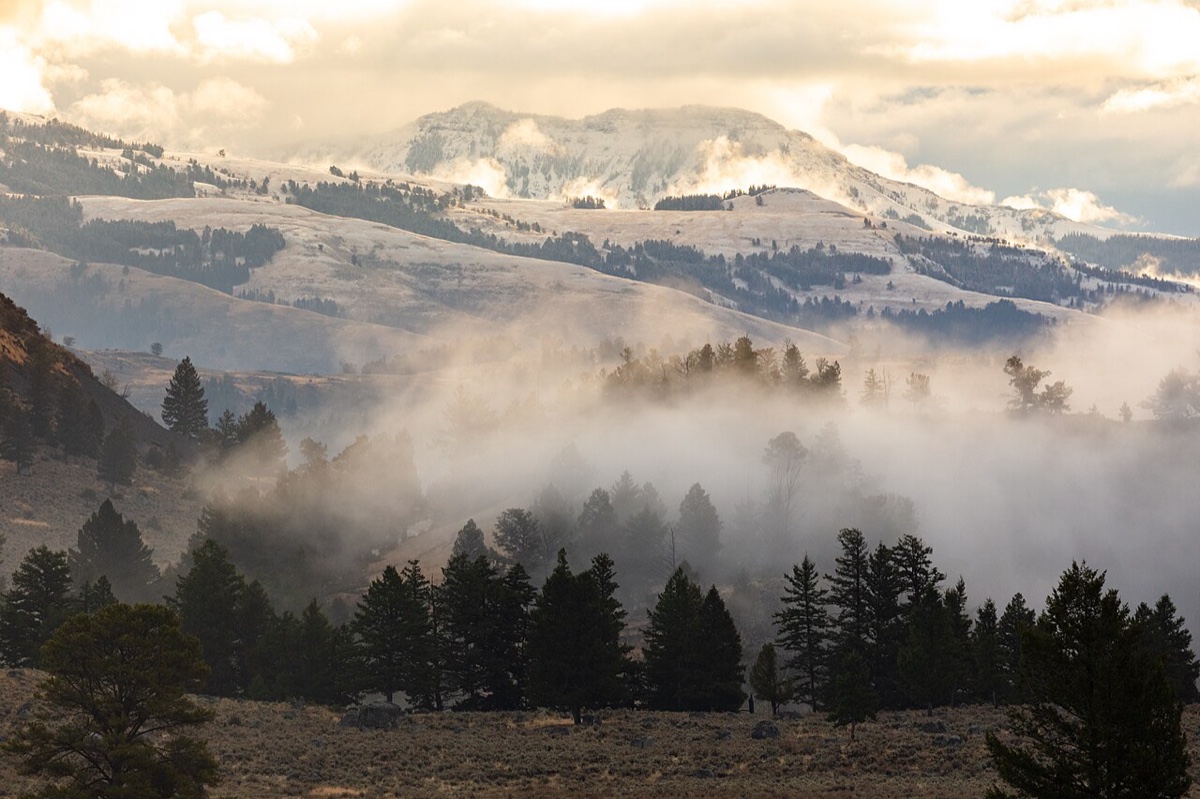 Waiting for the Fog to Lift