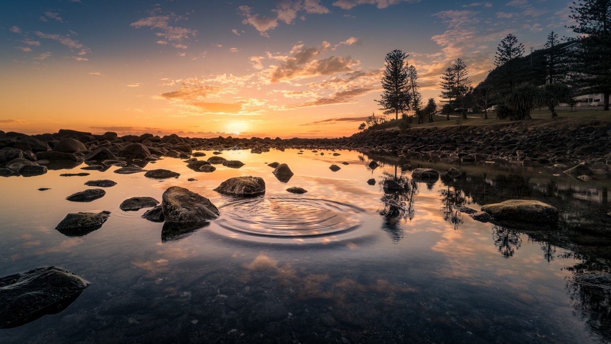 Still tidal water reflecting a pale sunrise, dark rocks scattered across the shallows