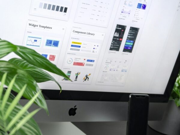 Colour and type style guide on a desktop monitor