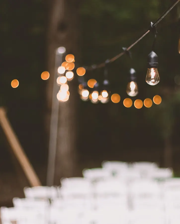 Warm bulbs on a string of lights glowing against dark trees