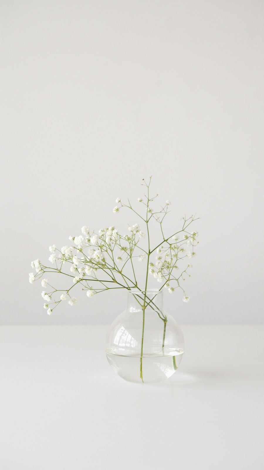 Why baby’s breath