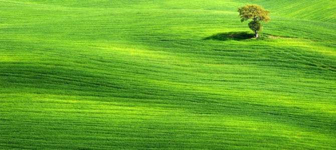 Post Format Test: Image (Linked)