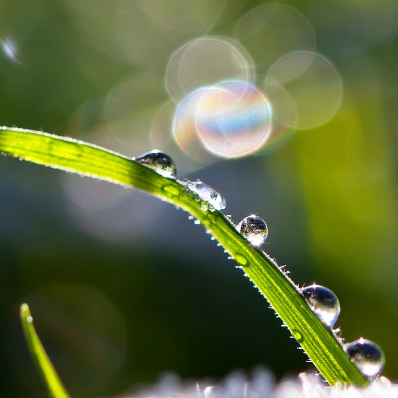 Protected: Test with secret password