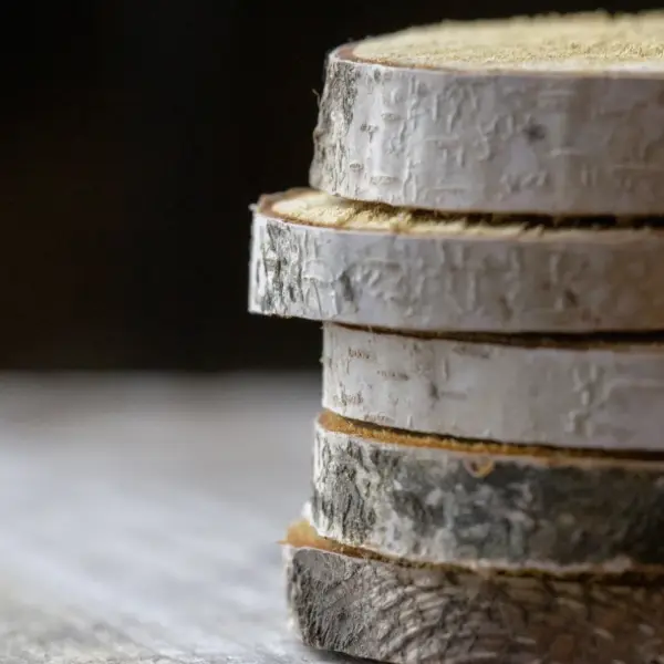 A stack of round timber coasters cut from a branch