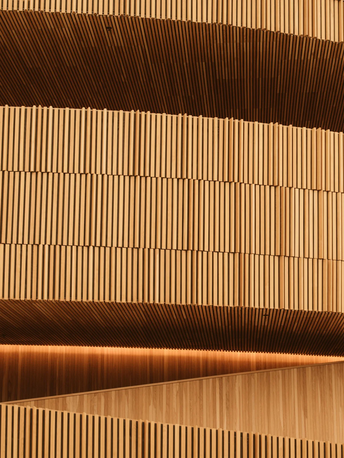 Curved strips of bent timber, lit warm and close