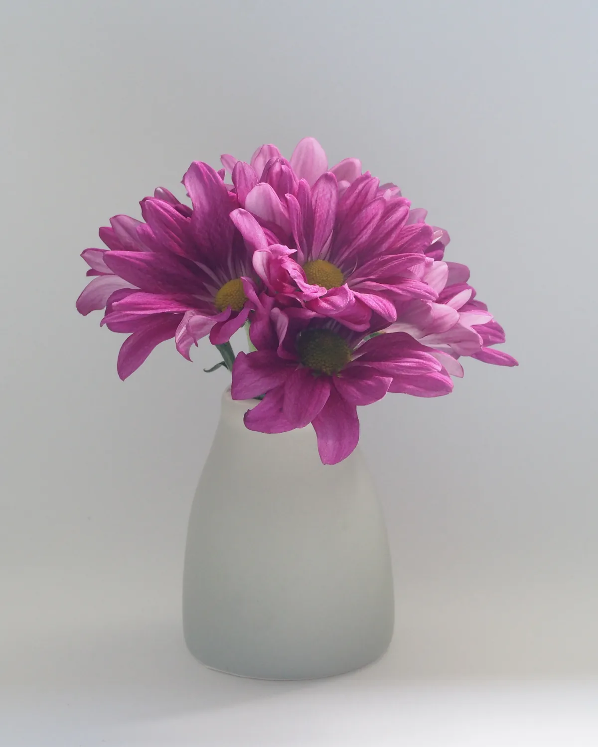 A frosted grey vase holding pink flowers