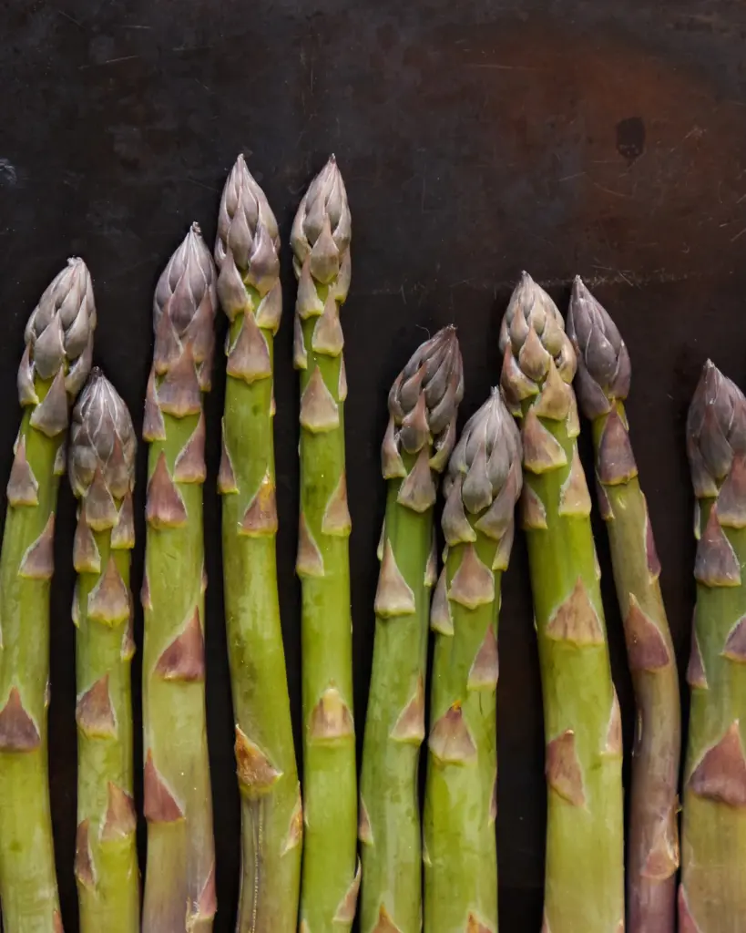 A bundle of asparagus spears standing upright