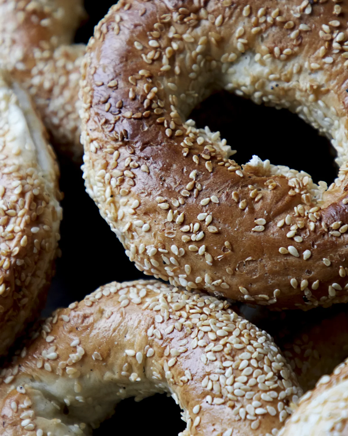 Sesame bagels, close