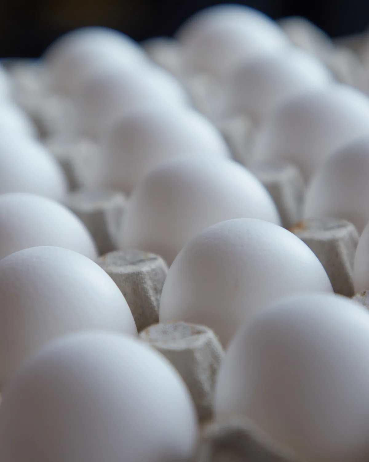 White eggs in a cardboard box, seen from above