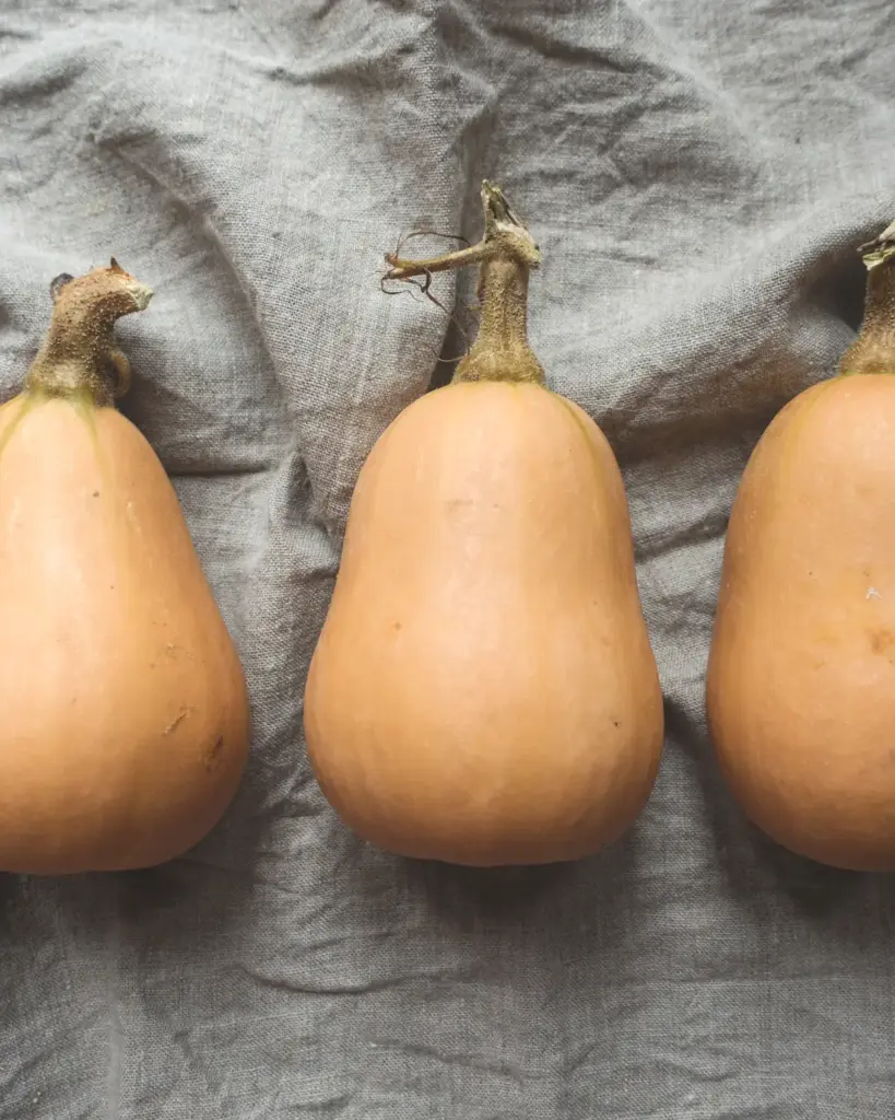 Three butternut squash on grey cloth