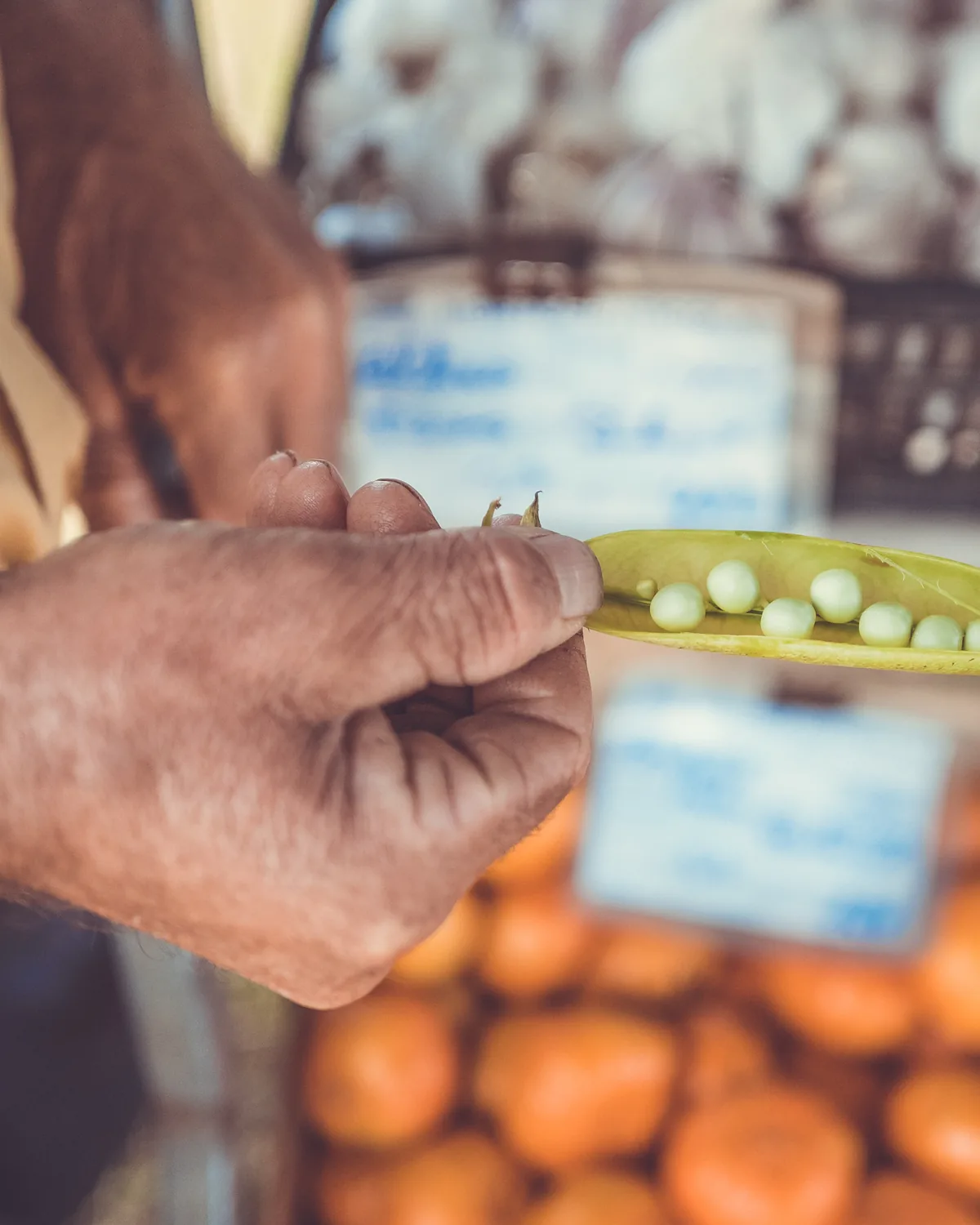A hand choosing produce from a market crate