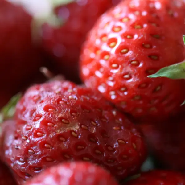 Strawberries piled close
