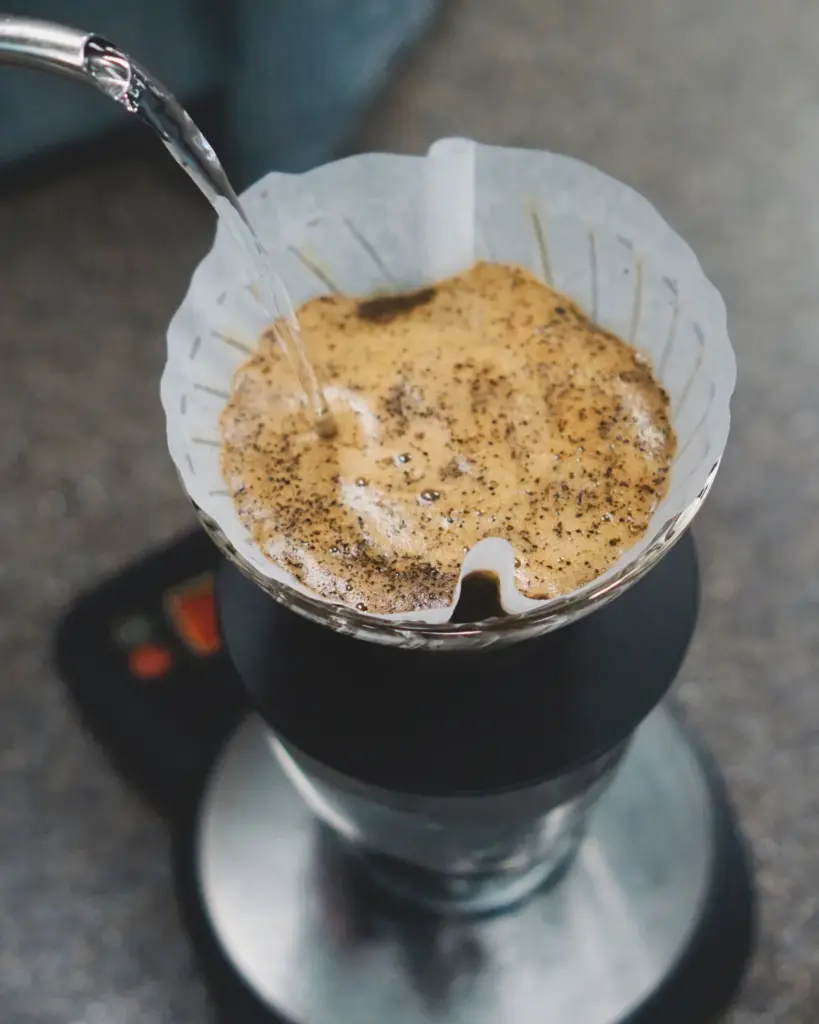 A white paper filter holding a bed of coffee grounds mid-bloom