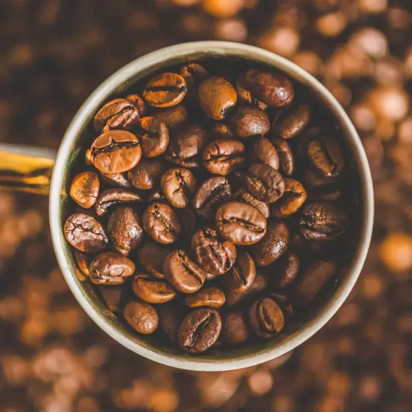 A white enamel cup filled with roasted coffee beans, seen from above