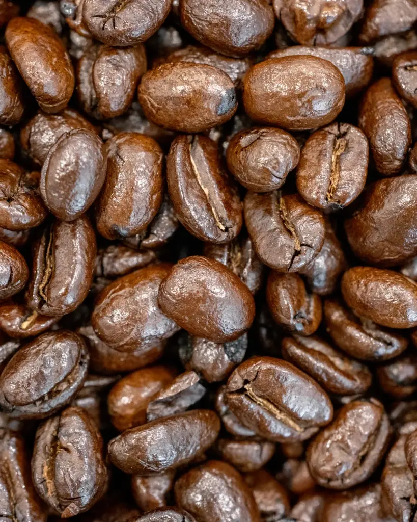 Glossy dark-roast beans with oily highlights, close up