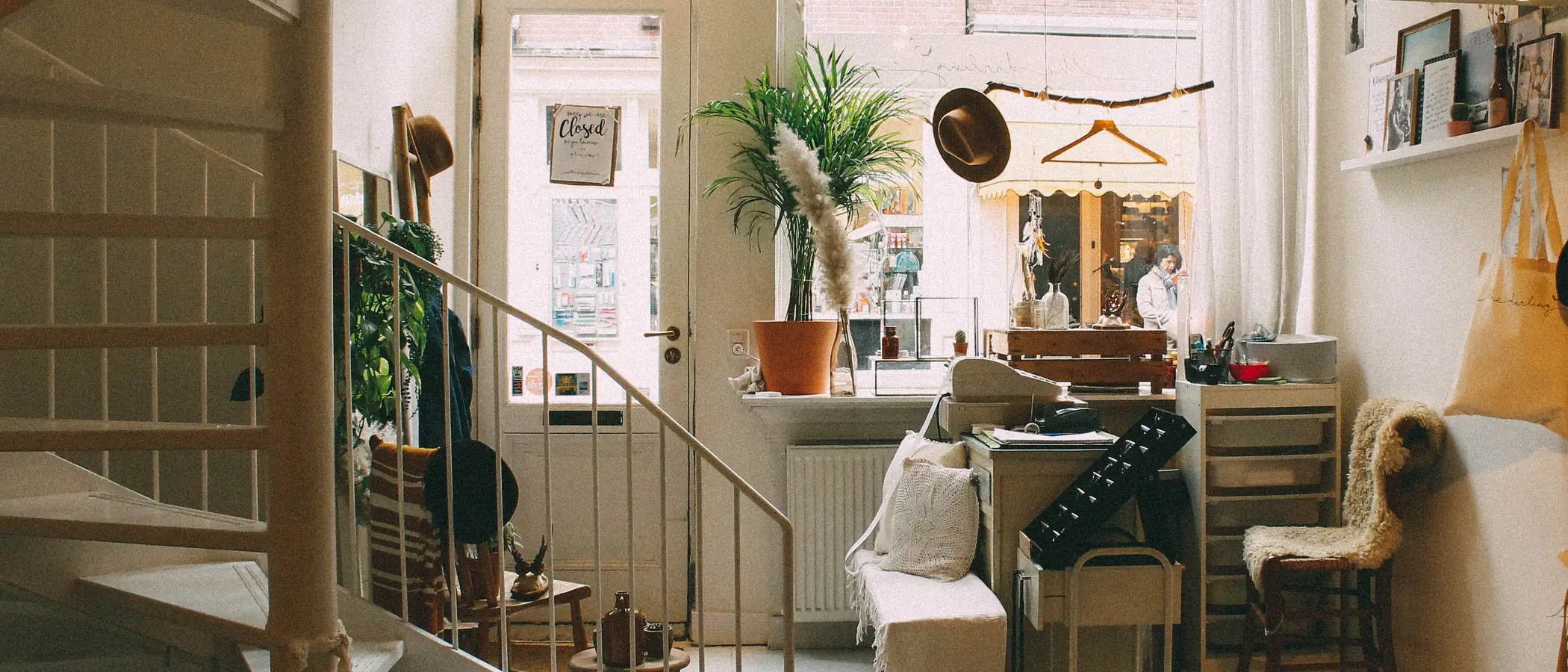 A plant shop seen from the stairs, plants along the sill and shelves
