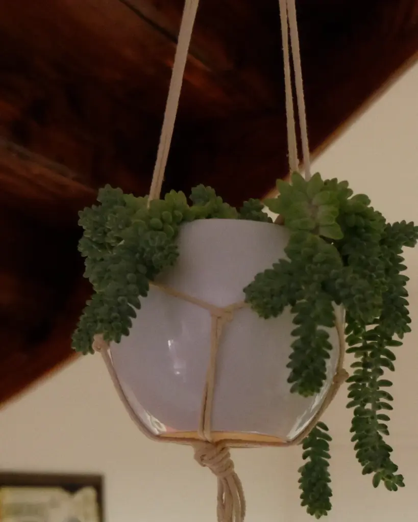 A white hanging planter of trailing greenery on a long cord