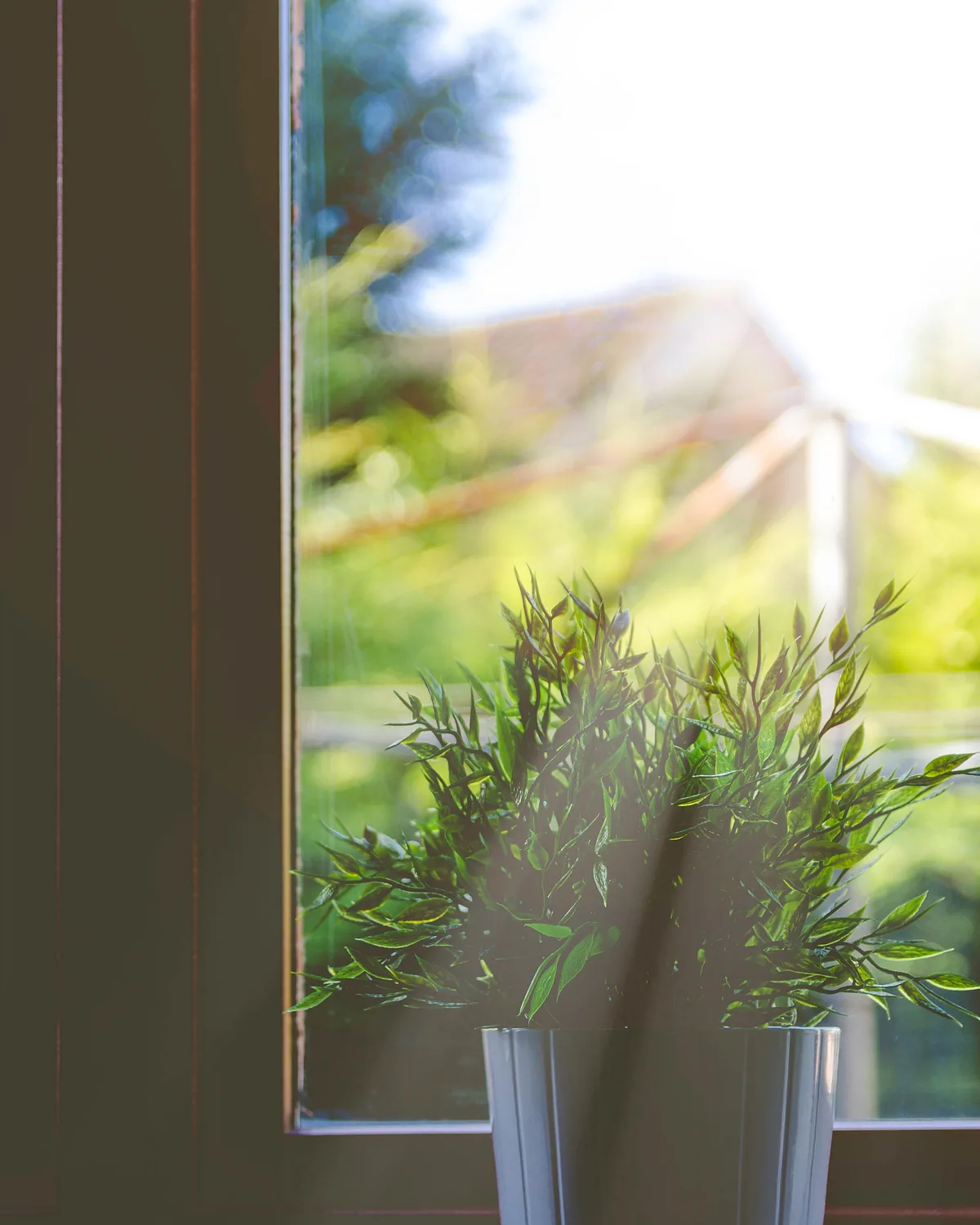 Watering is a season, not a schedule