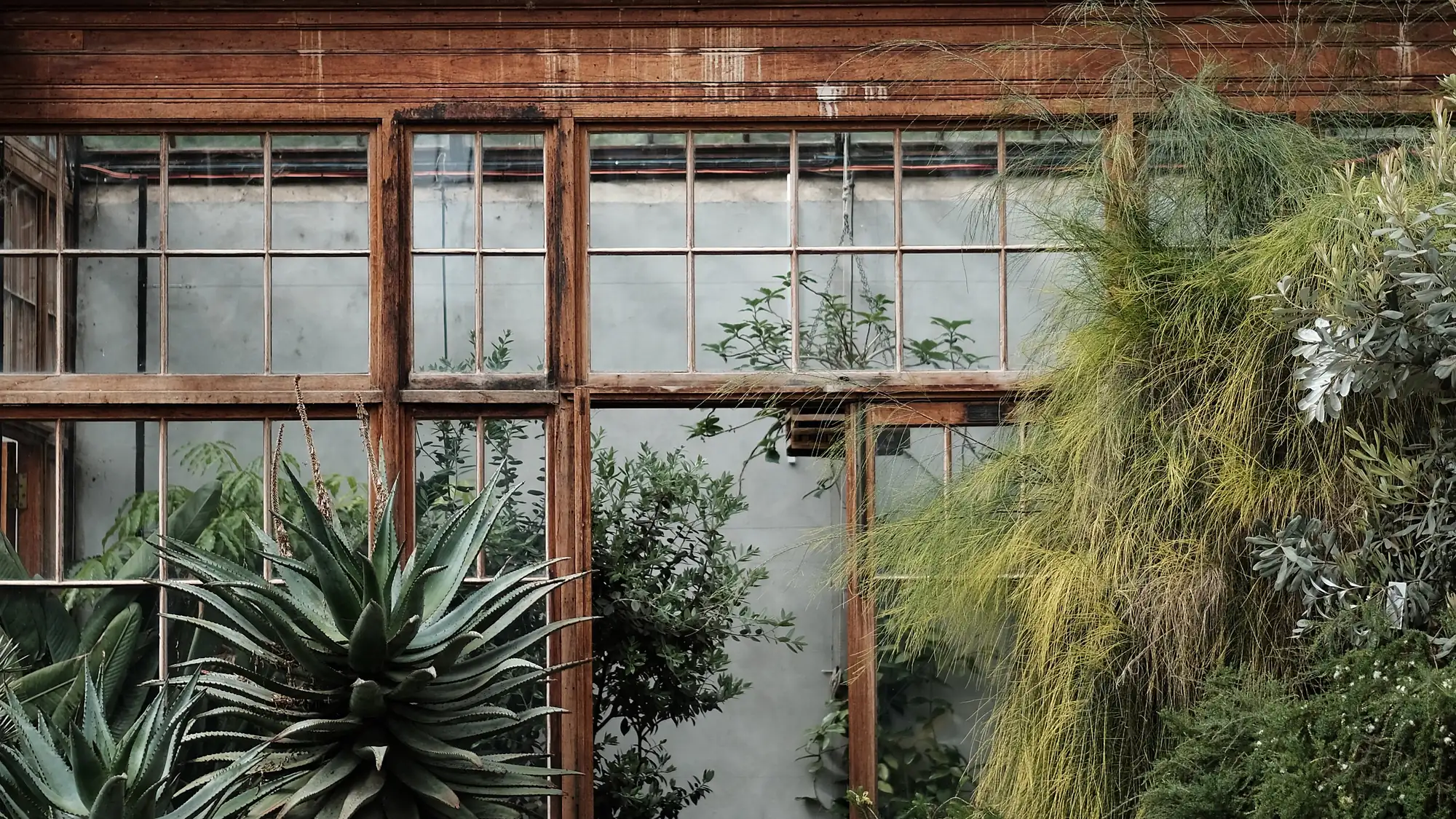 What four months in our glasshouse does