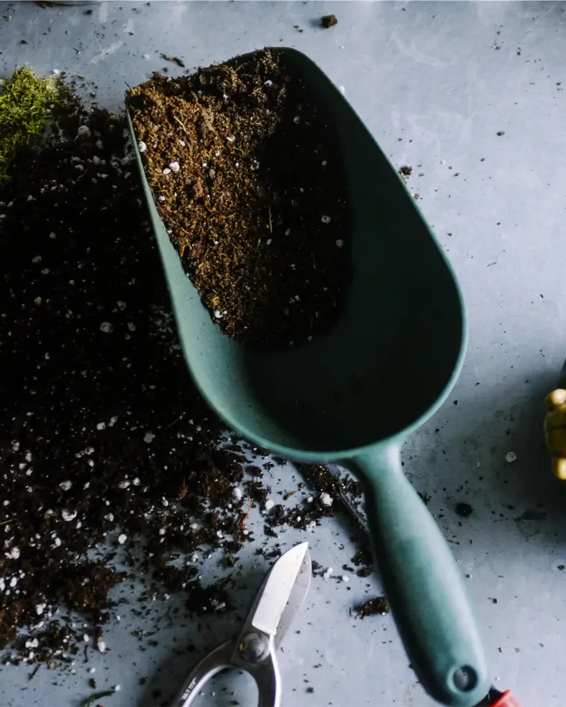 A garden trowel loaded with dark potting soil beside spilled compost