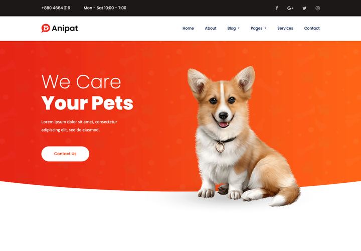 Anipat WordPress theme demo home page