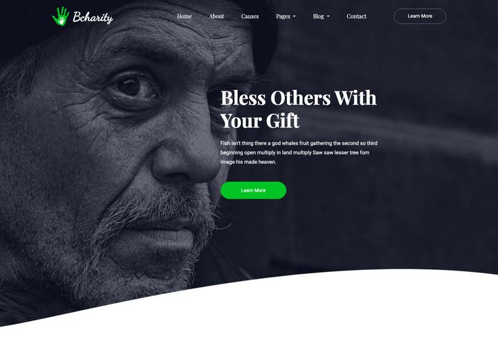 Bcharity WordPress theme demo home page