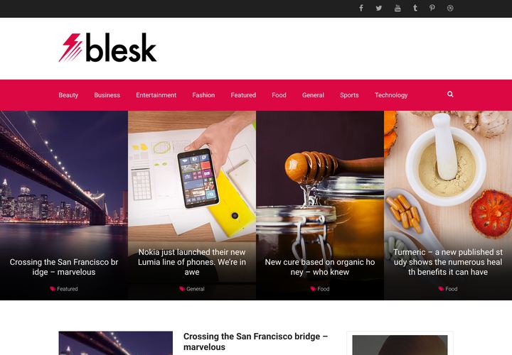 Blesk WordPress theme demo home page