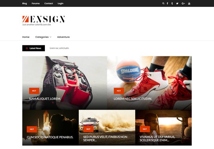 Ensign WordPress theme demo home page