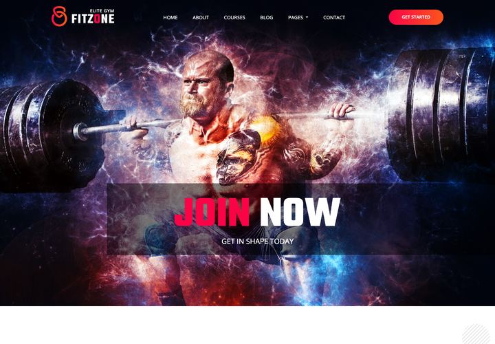 Fitzone WordPress theme demo home page