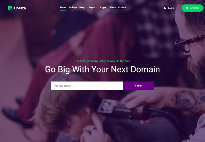Hostza WordPress theme demo home page
