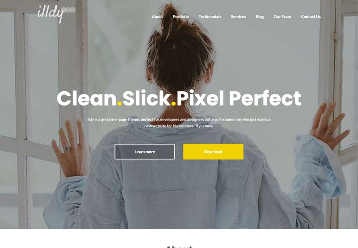 Illdy WordPress theme demo home page