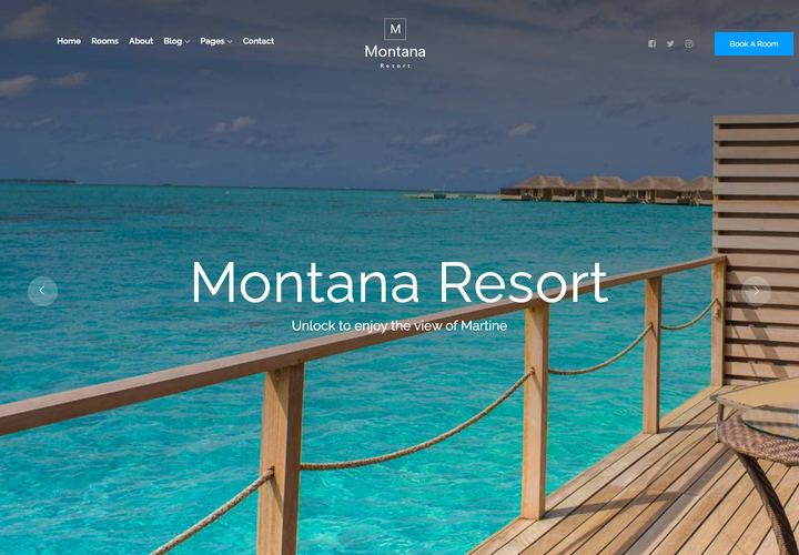 Montana WordPress theme demo home page
