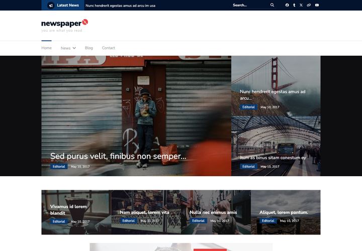 Newspaper X WordPress theme demo home page
