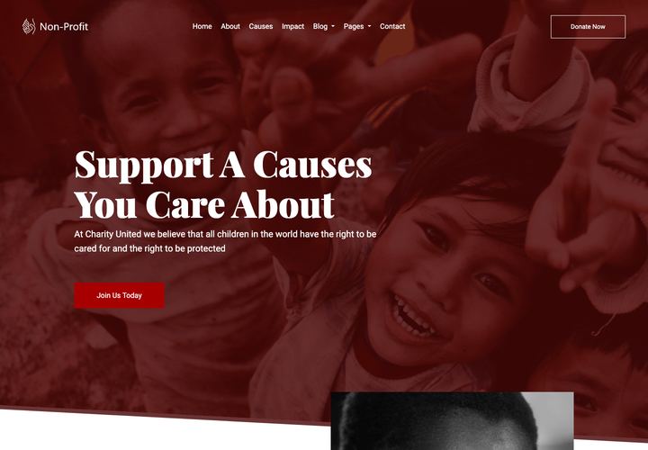 Nonprofit WordPress theme demo home page