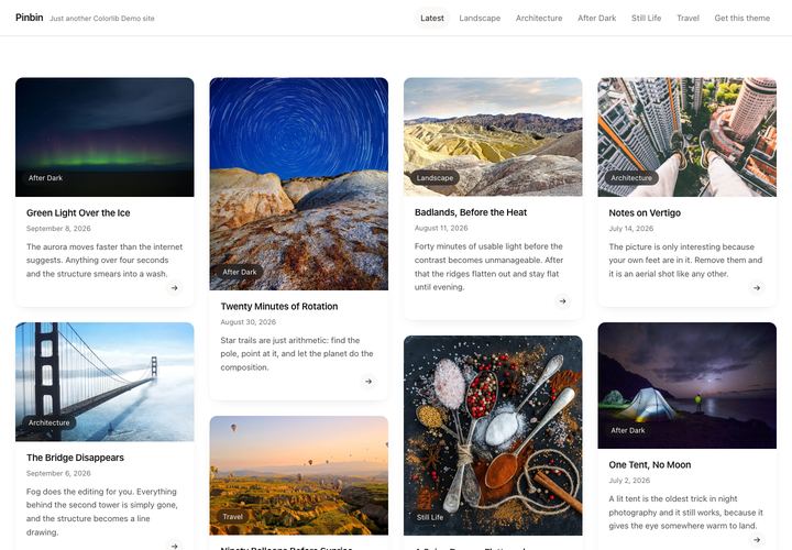 Pinbin WordPress theme demo home page