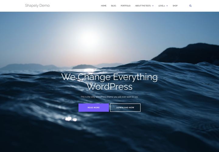 Shapely WordPress theme demo home page