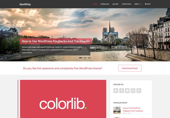 Sparkling WordPress theme demo home page