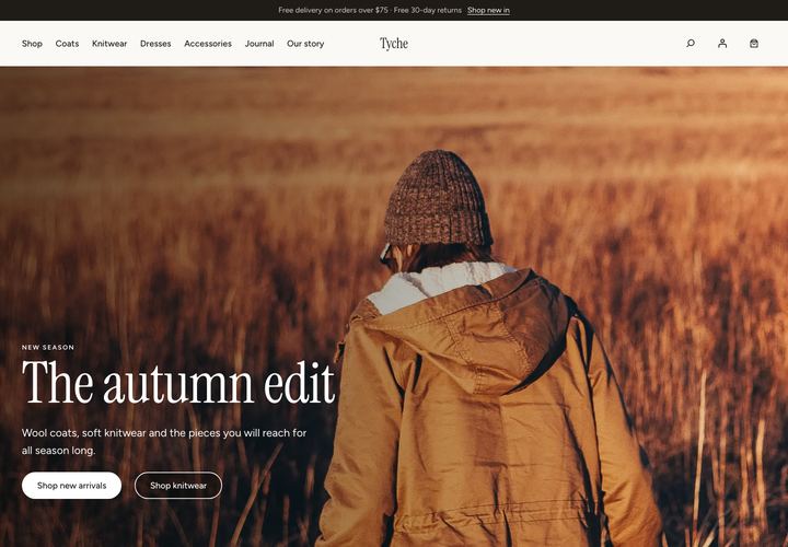 Tyche — 2 WordPress theme demo home page
