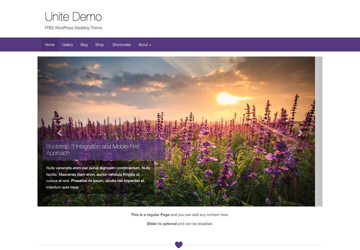 Unite WordPress theme demo home page