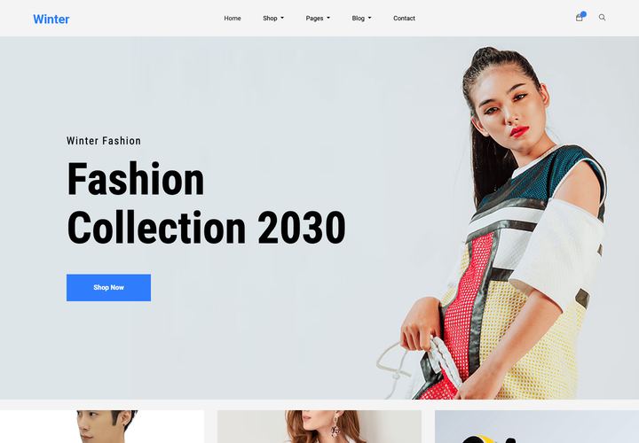 Winter WordPress theme demo home page